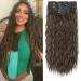 REECHO Hair Extensions 5PCS Brown Clip in Hair Extensions 24" Thick Long Loose Waves hair extensions HE002 Invisible Lace Weft Natural Soft Hairpieces for Women C Chocolate Brown