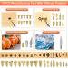 45PCS Wood Burning Kit with 22 Carving Tips | Adjustable Temperature 200-420 | Professional Craft Tool Set for Beginners and DIY Carving - Yellow - Buy Online on GoSupps.com