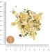 Krautery Nerves Herbs for Dogs (500g) - High-Quality Additive-Free Grain-Free Supplementary Feed - Buy Online on GoSupps.com