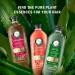 Herbal Essences Pure Plants Grapefruit Volumizing Conditioner with Certified Camellia Oil and Aloe Vera For All Hair Types Especially Fine Hair 400 mL Unscented 400 ml (Pack of 1) - Buy Online on GoSupps.com
