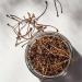 Dried Cherry Stems (Stalks) Loose Tea 100g by Villa Nostrum - Buy Online on GoSupps.com