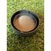 4 Natural Cat Dog Repellent Non Toxic Move It Fouling Prevention Orange Oil 240g - Buy Online on GoSupps.com