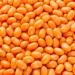Jelly Belly Pumpkin Pie 100g Bag Bundle (Pack of 3) - Fall Candy Assortment Gourmet Jelly Beans Variety Pack Seasonal Treats for Halloween Thanksgiving and Autumn Celebrations Party Favors Gifts and Office Snacks Gluten-Free and Peanut-Free - Buy Online on GoSupps.com