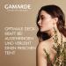 Gamarde Anti-Dark Circles Concealer Bio - 6ml | Organic Concealer for Brighter Eyes - Buy Online on GoSupps.com