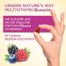 Vitamins for Women Multivitamin Gummy Bears - A-Z High Dose + Folic Acid Vitamin A C E B Complex Biotin Iodine & Zinc - 60 Vegetarian Gummies - Buy Online on GoSupps.com