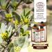 Jojoba Oil Organic 150 ml - 100% Pure Natural & Cold Pressed | Buy Online Worldwide - Buy Online on GoSupps.com