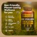 Earth Elixir 3-in-1 Organic Bee Pollen Capsule Non-GMO Pure Raw Bee Pollen Royal Jelly Propolis Extract for Women & Men Natural Energy Immune & Vitality Support 180 Propolis Capsules - Buy Online on GoSupps.com