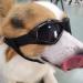 Small Dog UV Protection Goggles - Windproof Puppy Sunglasses in Black - Buy Online on GoSupps.com