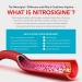 Juvenon BloodFlow-7 Nitric Oxide Supplements for Men & Women - Natural Nitric Oxide Booster with Nitrosigine + S7 - Blood Flow & Circulation Support (3-Pack) - Buy Online on GoSupps.com