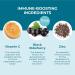 Hyland's Kids Organic Elderberry Plus Gummies - Immune Support with Black Elderberry, Zinc, and Vitamin C - 48 Vegan Gummies (2 Pack) - Buy Online on GoSupps.com