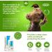 Clorexyderm ICF Dog Shampoo 200ml | Itchy Skin Relief | Antifungal & Antibacterial | Gentle Shampoo for Sensitive Pets - Buy Online on GoSupps.com
