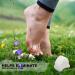Mars Wellness Gel Toe Separator & Spacers - Bunion & Hammer Toe Corrector - 4 Pack - Small - White - Buy Online on GoSupps.com