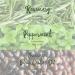 Tropic Isle Living Rosemary Mint Leave-In Conditioner 8oz - Natural Detangler Moisturizer & Scalp Repair for All Hair Types - Cruelty-Free Hair Care - Buy Online on GoSupps.com