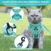 Shop Adjustable Cat Dishes - Mint Green - Perfect for Cats Kittens Dogs & Puppies | International Shipping Available - Buy Online on GoSupps.com