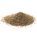 Organic Ethiopian Wild Caraway Seed - Handpicked, Non-GMO, No Preservatives | Netch Azmud (1.8oz) - Buy Online on GoSupps.com
