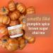 Hempz Limited Edition Pumpkin Spice & Vanilla Chai Herbal Lip Balm .44 oz Pumpkin Spice & Vanilla Chai .44 Fl Oz (Pack of 1) - Buy Online on GoSupps.com