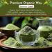 Organic Way Senna Leaf Powder - Premium Grade Organic & Kosher Certified | Vegan Non-GMO Gluten-Free Superfood | USDA Certified | Ships Internationally (1 LB - Buy Online on GoSupps.com