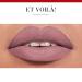 ROUGE VELVET THE LIPSTICK 18 Mauve Martre - 2.4g | Long-lasting Matte Lip Color - Buy Online on GoSupps.com