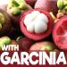 L Carnitine Liquid Extra Strength 5000mg | 32 fl oz (32 Servings) with Garcinia Cambogia and Artichoke Grape Flavor | Nutrition Greenlife - Buy Online on GoSupps.com