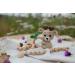 Vintage New Baby Gift Set with Crochet Rattle (Deer/Elk) | Newborn Baby Shower Gift Box for Boy and Girl - Buy Online on GoSupps.com