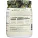 Plantfusion Protein Powder Vanilla Bean 1 lb - Premium Vegan Protein for Optimal Nutrition - Buy Now Internationally - Buy Online on GoSupps.com