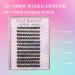 Buy MIZ BARN 144pcs D Curl Lash Clusters - Fluffy Individual Eyelashes 12-18mm for DIY Home Extensions - Buy Online on GoSupps.com