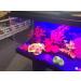 Ciano CLA 60/80 LED Light Unit - Fits Aqua 60 & 80 Aquariums (PINK/BLUE) - Buy Online on GoSupps.com