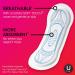 Kotex Regular Maxi Pads 24 ct - Absorbent Feminine Hygiene Protection - Buy Online on GoSupps.com