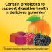 Nature Made Fiber Gummies 5g - Digestive Health Supplement - 90 Gummies - Buy Online on GoSupps.com