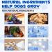 Dog Joint Aid & Relief Supplement - w/Chondroitin and Glucosamine HCl - Reliving Joint Pain & Reducing inflammation for Senior Dogs Active Adults or Puppies Dog Joint Relief - Buy Online on GoSupps.com