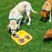 Pupsicle Treat Tray Mold- Silicone Dog Treats Molds| Freeze Refill Treats to Fill Yogurt| Reusable Treat Tray Silicone Molds Making| Cavities Reusable Dog Treat Tray for Freezing Puppy Treat Mold - Buy Online on GoSupps.com