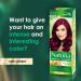 Joanna Naturia Color Permanent Hair Color Cream Goodness of Milk Proteins and Peach Extracts Premium-Quality Hair Dye Provides Soft and Lustrous Hair Long-Lasting Hair Colors Ripe Cherry - Buy Online on GoSupps.com