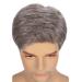Swiking Men's Short Grey Synthetic Wig - Straight Natural Cosplay Hair for Daily Wear | Male Guy Full Replacement Wig - Buy Online on GoSupps.com