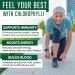 Premium Chlorophyll Liquid Drops 6000mg - Immune Boost, Energy Increase, Digestion Support, Fast Detox - Non-GMO, Vegan - Buy Online on GoSupps.com