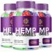 (3 Pack) Bloom Hemp Gummies - Official Formula - Bloom Gummies with Hemp Advanced Strength Performance Hemp Blend Formula Big Size Bloom Gomitas with 25mg Hemp Extract Great Taste (180 Gummies)