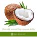 Coconut Charcoal Capsules by Dr. Amy Myers - Natural Gas Relief & Toxin Support - 60 Capsules - Buy Online on GoSupps.com