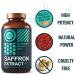 Saffron Extract Mood Support Supplement - 88.5mg Saffron Capsules for Energy, Eye Health & Mood Boost - Vegan Antioxidant Formula with 0.3% Safranal - Buy Online on GoSupps.com