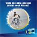 Tampax Pocket Pearl Tampons Duopack - Regular/Super Absorbency, Unscented - 30 Count Pack - Buy Online on GoSupps.com