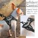Rabbitgoo No Pull Dog Harness for Small & Large Dogs - Adjustable Breathable Anti-Training Reflective Stripes Safe Guidance - Gray XS (1 Pack) - Buy Online on GoSupps.com