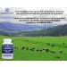 Zen Principle Ultra-Pure Grass-Fed Beef Liver Capsules | Natural Energy Protein & Vitamins | 180 Count | No Hormones or GMO - Buy Online on GoSupps.com