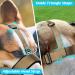 Adjustable Heele Dog Muzzle for Small & Medium Dogs - Brown | No Scrubbing Comfortable Fit - Buy Online on GoSupps.com