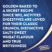 McVitie's Original Digestive Biscuit Twin Pack (2 x 360g) - Buy Online on GoSupps.com