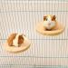 4 Pcs Hamster Wooden Platform L-shaped Large Platform Natural Wooden Parrot Round Standing Board Rat Activity Chinchilla Bird Cage Accessories for Squirrel Gerbil Chinchilla Dwarf Hamster (L) - Buy Online on GoSupps.com