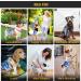 Premium Washable Belly Bands for Male Dogs - 3-Pack | Dog Diapers & Dog Belly Bands (M Dog&Camo) - Buy Online on GoSupps.com