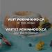 Robin Hood Best for Blending Flour 2.5kg Made with 100% Canadian Wheat 2.5 kg (Pack of 1) BEST FOR BLENDING - Buy Online on GoSupps.com