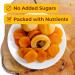 Premium Armenian Dried Apricots 1 LB - No Added Sugar Nutrient-Rich Snack for Health & Wellness - Buy Online Internationally - Buy Online on GoSupps.com
