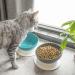 Elevated 0-45 Degree Tilted Slow Feeder Cat Bowl - Non-Slip, No Spill Pet Feeding Bowl for Puppy and Cat - Food Grade Material - Grey - Buy Online on GoSupps.com