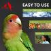 Morning Bird Calcium Plus Supplement 4 Fl Oz - Liquid Formula with Magnesium and Vitamin D3 for Avian Health - Buy Online on GoSupps.com