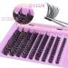 Newcally DIY Eyelash Extensions Kit Cluster Lashes 108 Pcs C D Curl Individual Lashes Natural Strips 8-16mm - Home Lash Extension Kit - Buy Online on GoSupps.com