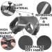 Secure Cat Dishes with Outbreak-Proof Leash | Reflective Cat Harness & Dish Set for Kittens - XS Gray - Buy Online on GoSupps.com